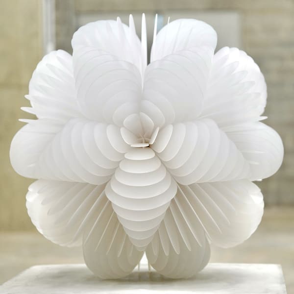 Norman Mooney, Bloom No.2, 2022