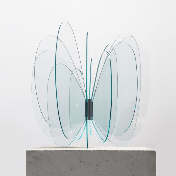Norman Mooney, Butterfly Effect Edition No.3 , 2023
