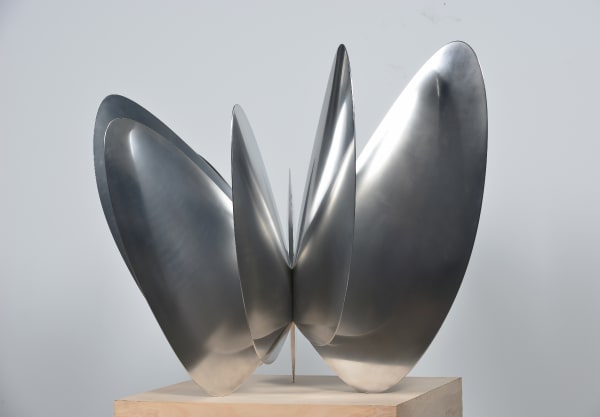 Norman Mooney, Butterfly Effect Edition No.2, 2017