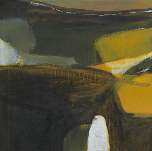 Martyn Brewster, Night fields