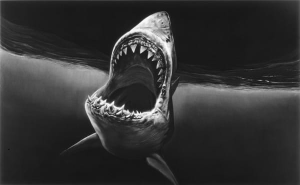 Robert Longo, Suleimon (From the series: Perfect Gods, 2008