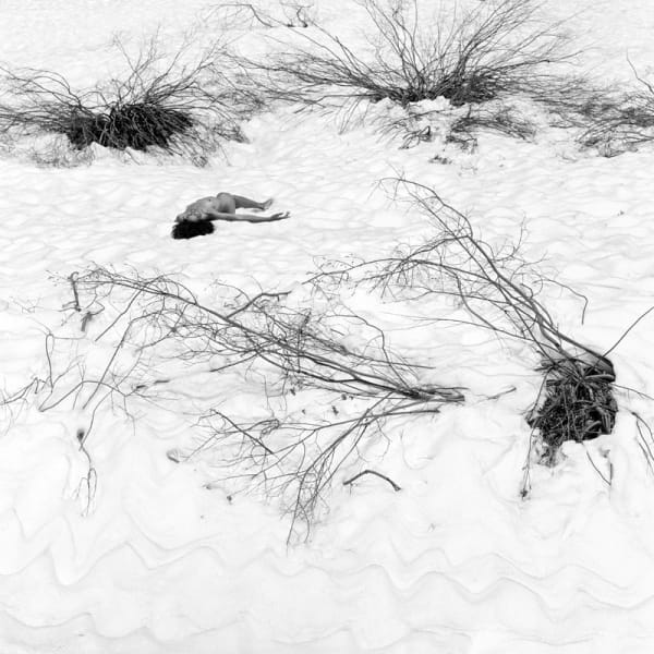 Xavier Guardans, Mineral King, California-No. 37, 2012