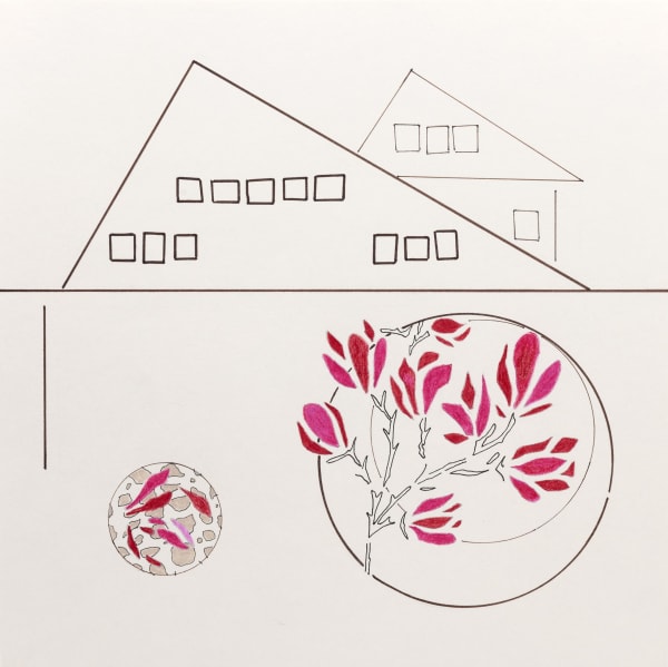 moholinushk, Sunday walk farm with magnolia, 2019