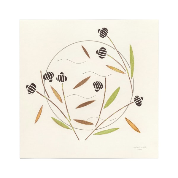 moholinushk, Automne, 2024