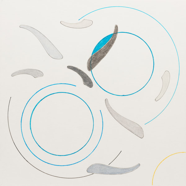 moholinushk, the coast of Oman, 2018