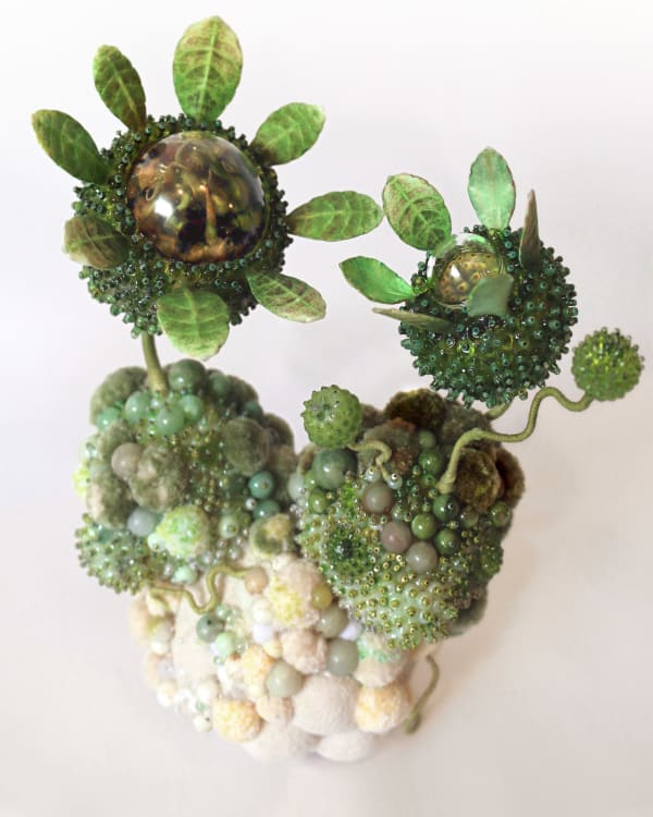 Amy Gross, Chloroflora Biotope