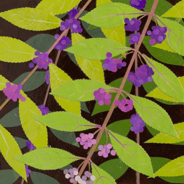 Meg Lagodzki, American Beautyberry