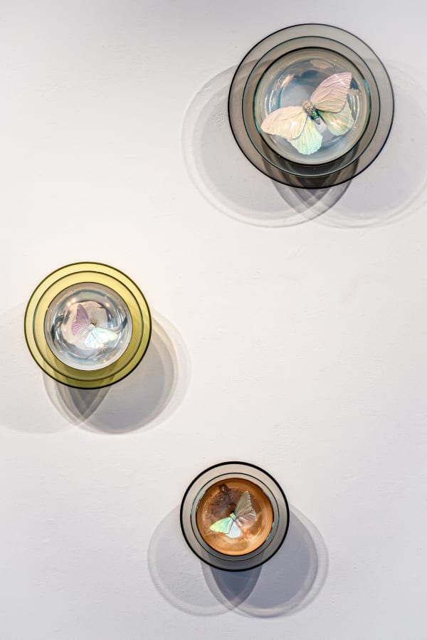 Alli Hoag, Ultraviolet