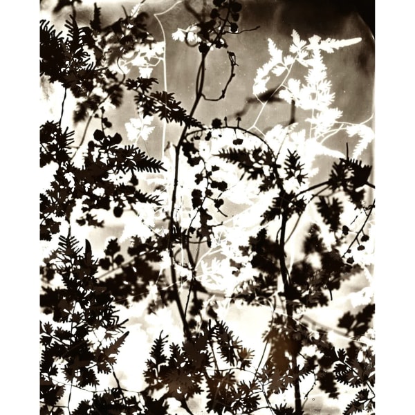 Heather F. Wetzel, Untitled No. 4, Brown - Right