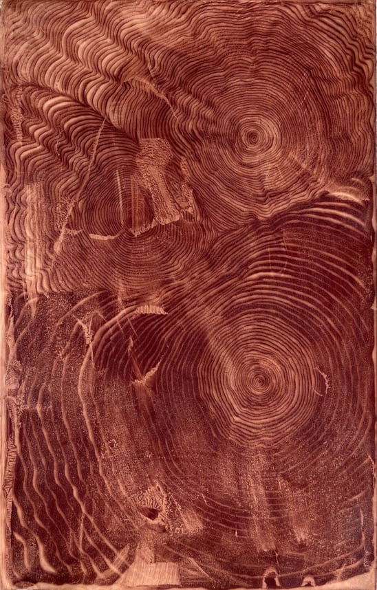 Steven L. Anderson, Growing Together #17