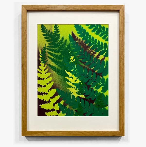 Steven L. Anderson, Pteridomania #4