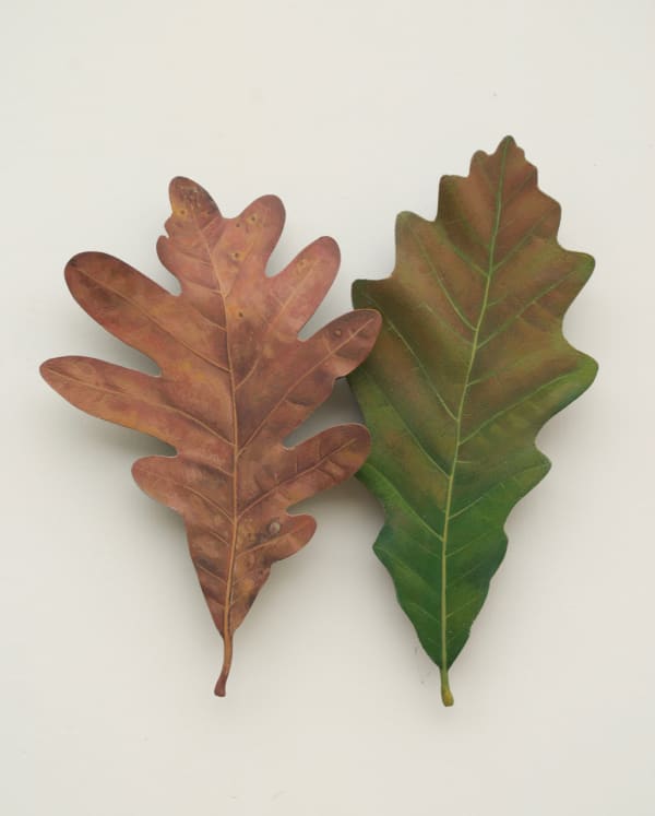 Ron Isaacs, Couple No. 17