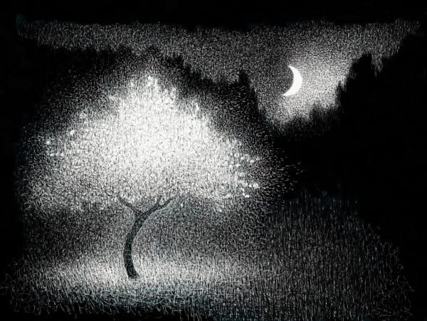 John Paul Vincent, The Ghost of a Tree