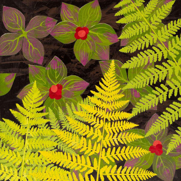 Meg Lagodzki, Northwoods: Lady Ferns with Bunchberry Dogwood