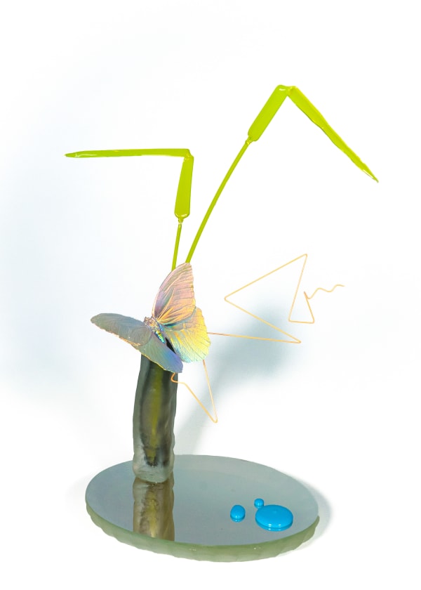 Alli Hoag, Synthetic Reverie #2