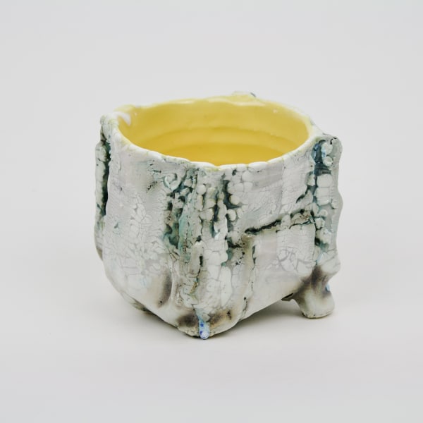 Ani Kasten, Space Junk Cup a