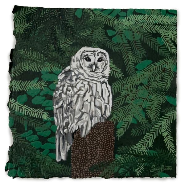 Samantha Bates, Morning Messenger