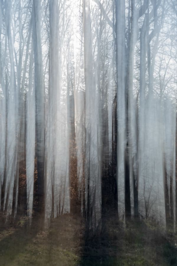 Sandy Rothberg - Small Untitled C