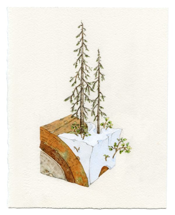 Bryce Lafferty, Vernalis (Late Snow)