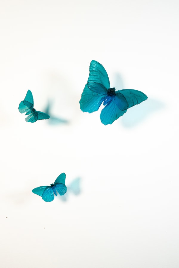 Alli Hoag, Aerial Vistas-Grotto