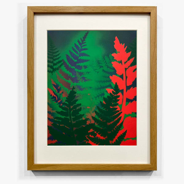 Steven L. Anderson, Pteridomania #1