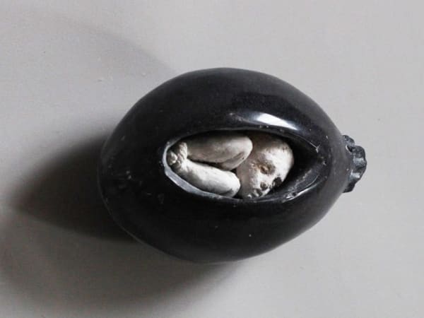 Christina Bothwell, Shelter