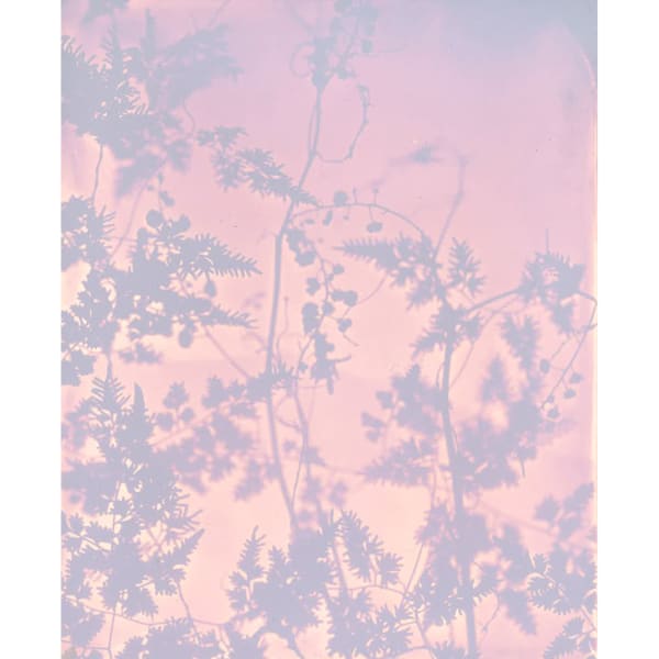 Heather F. Wetzel, Untitled No. 7, Dusk - Right