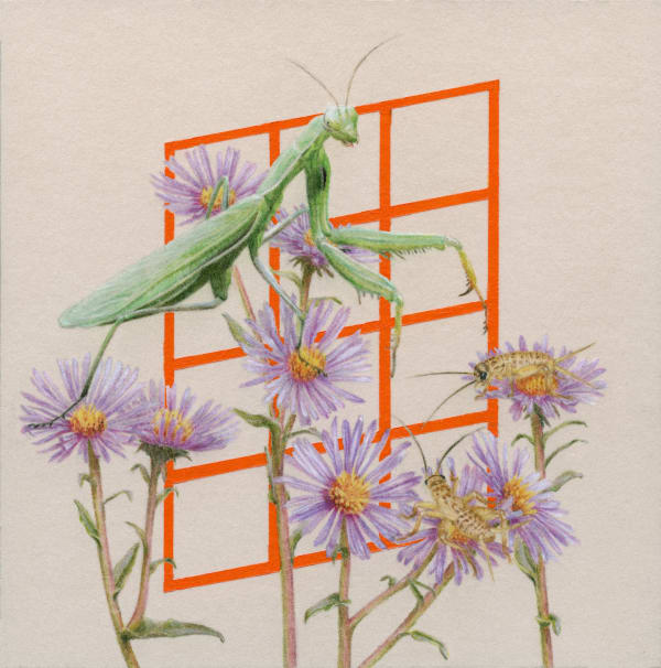 Jessica Tenbusch, Maidens