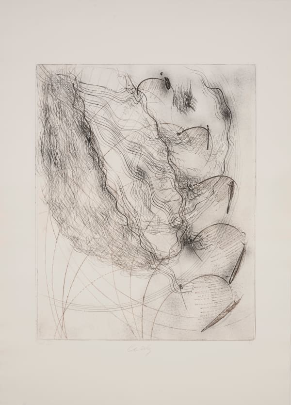 Dale Chihuly, Print VI , 8/25