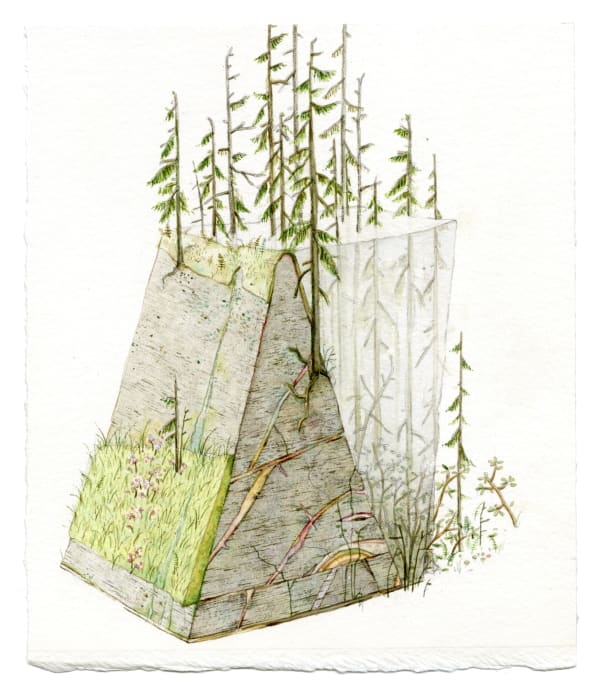 Bryce Lafferty, Cloudland