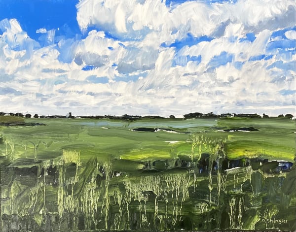 David Shingler, Open Field, NC