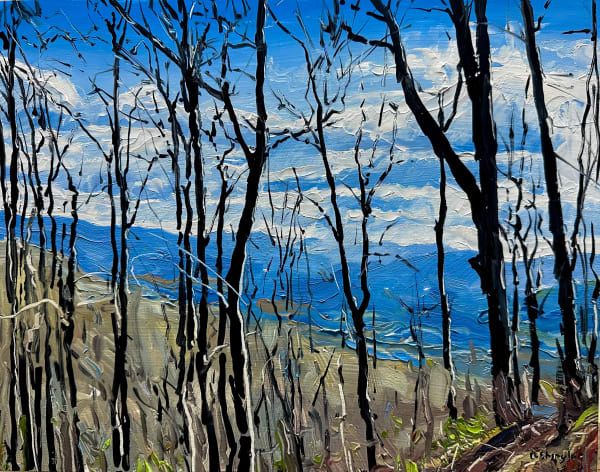 David Shingler, Through the Trees, NC