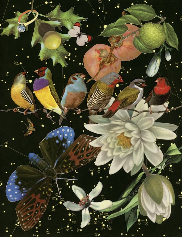 Anne Lemanski, Josephine - Small