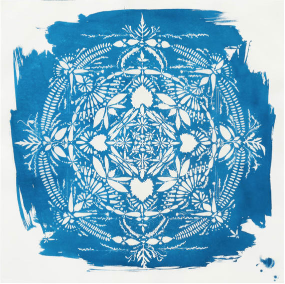 Hillary Waters Fayle - Botanical Blueprint Tidewater, unframed
