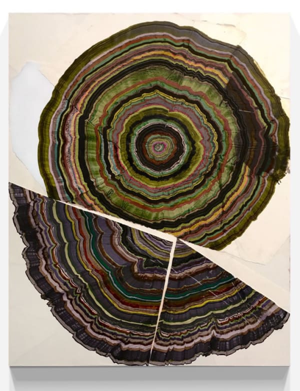 Steven L. Anderson, Forest #10