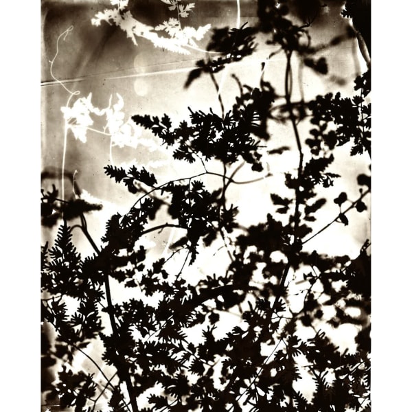 Heather F. Wetzel, Untitled No. 4, Brown - Left