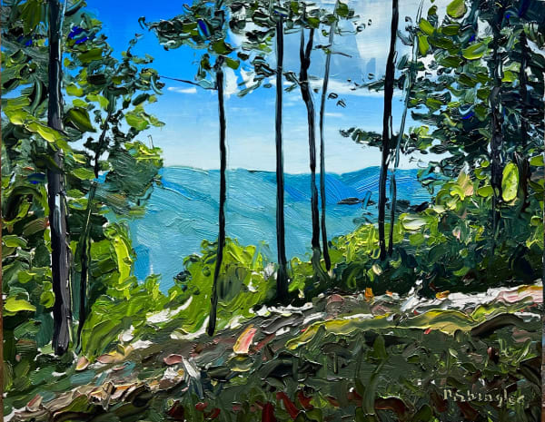 David Shingler, Western North Carolina