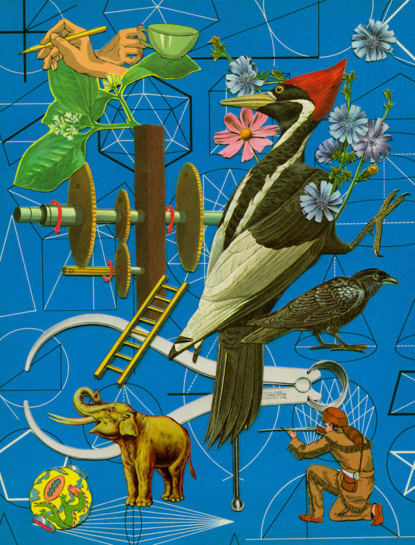 Anne Lemanski, Woodpecker