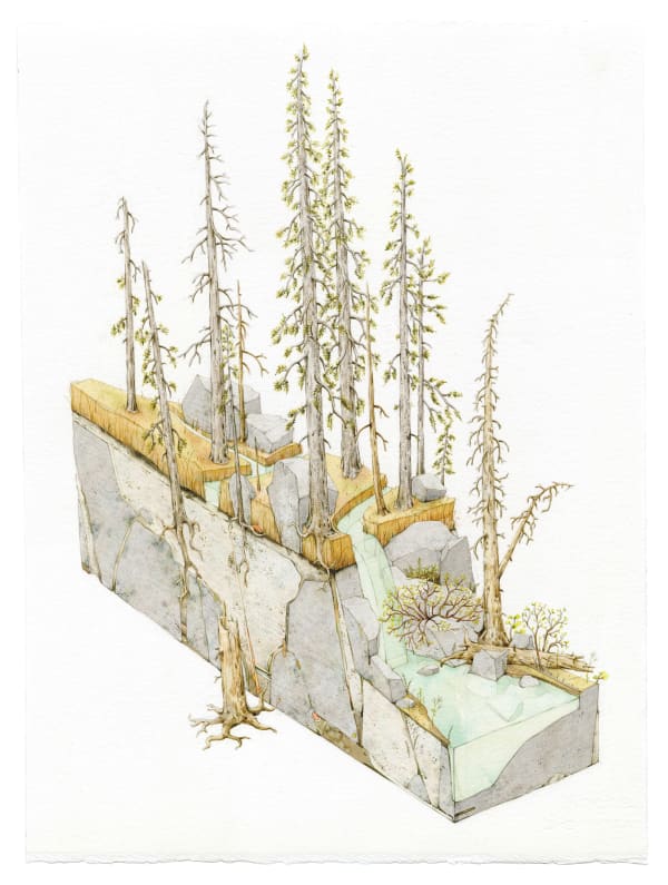 Bryce Lafferty, Subalpine (Lost Flora)