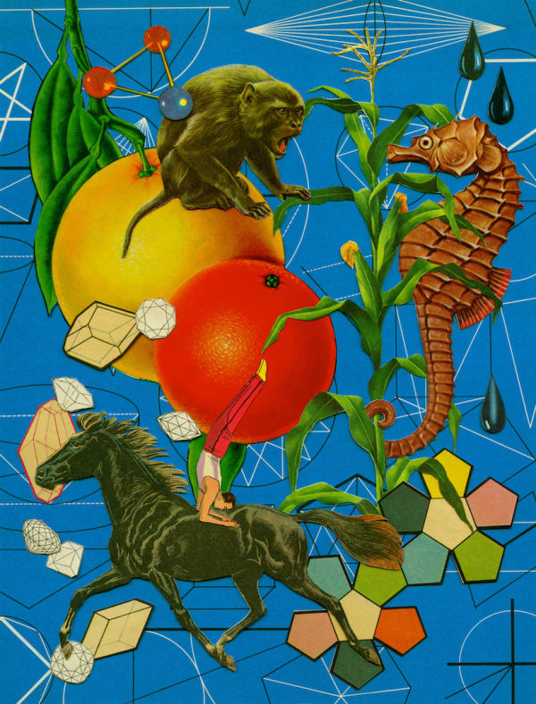 Anne Lemanski, Seahorse