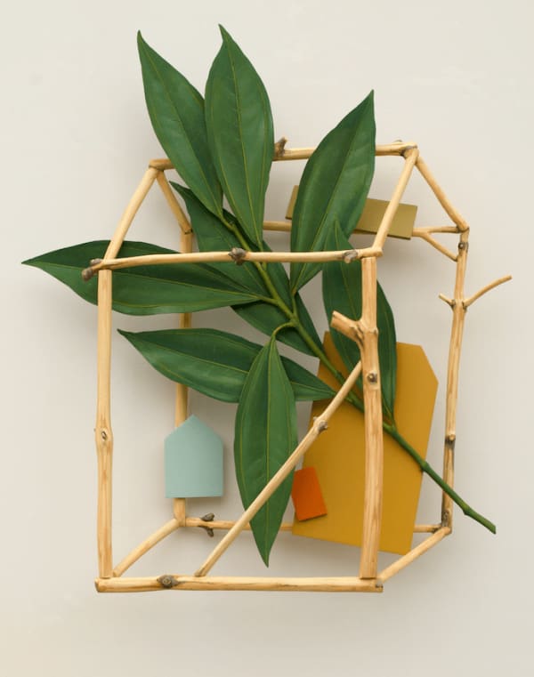 Ron Isaacs, House/Plant