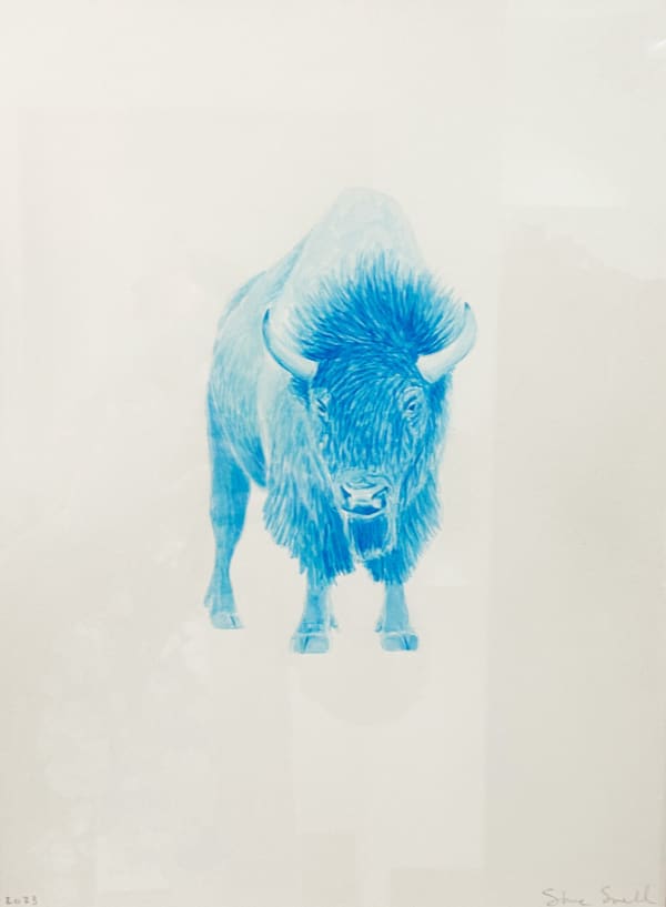 Steve Snell, Study - Blue Buffalo