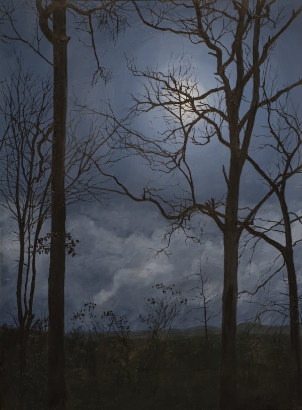 John L. Cleaveland, Jr., Like a Waking Dream II