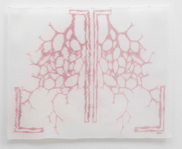 Andrea Donnelly, Flora from the Garden of Forking Paths #2