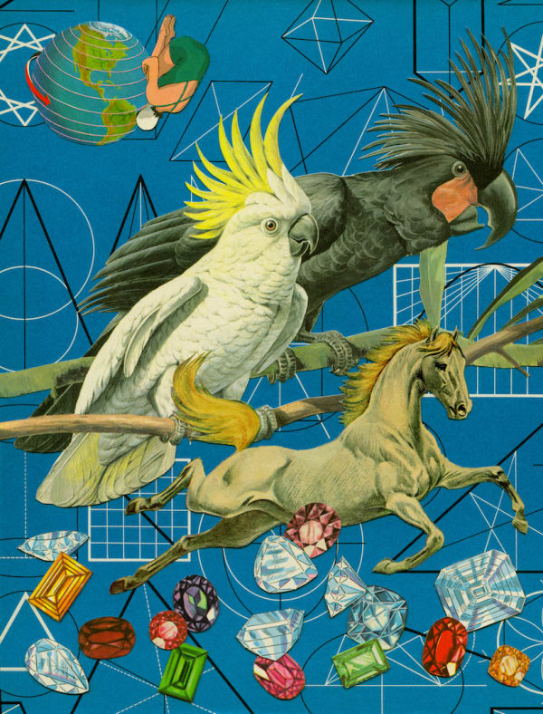 Anne Lemanski, Cockatoos