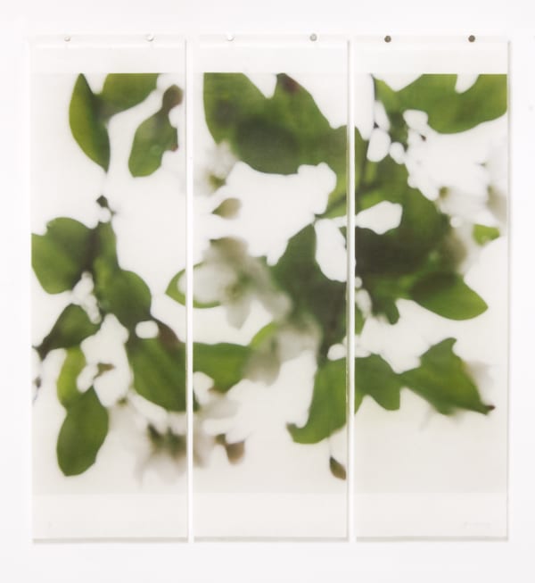 Jeri Eisenberg - Till It’s Time to Go