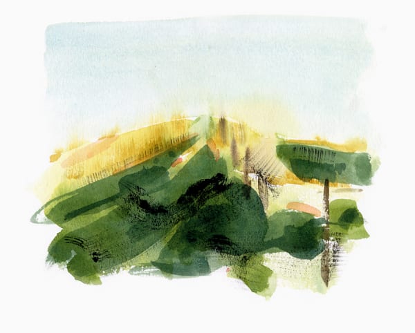 Bryce Lafferty, Tallgrass Evening Hillside