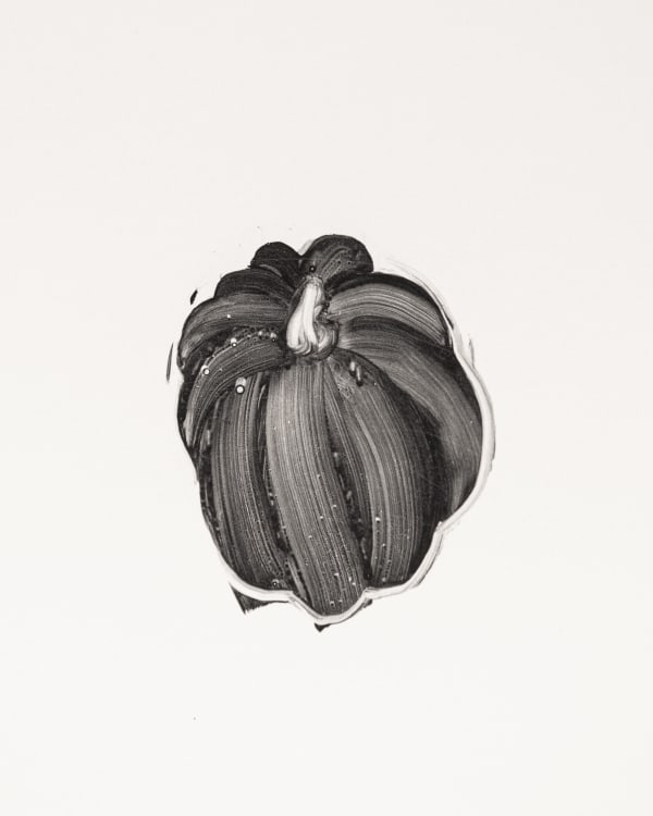 Sara Sanders, Acorn Squash