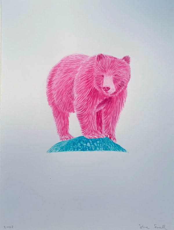 Steve Snell, Magenta Bear Study 3