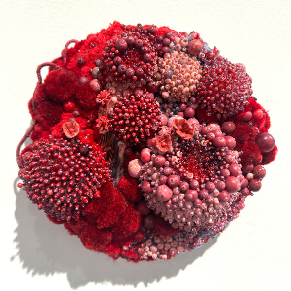Amy Gross, Eight Ecosystems - Red